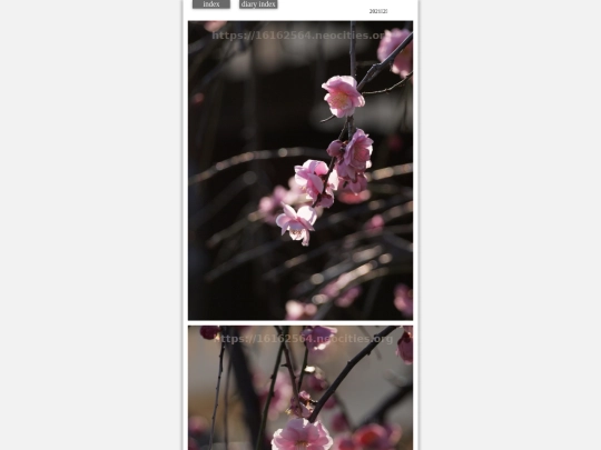 hare2021feb7 screenshot