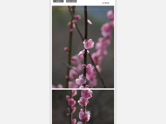 hare2021feb9 screenshot
