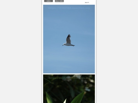 hare2021jul72 screenshot