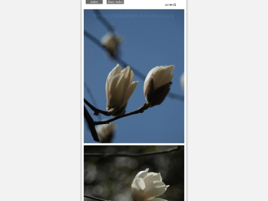 hare2021mar1 screenshot