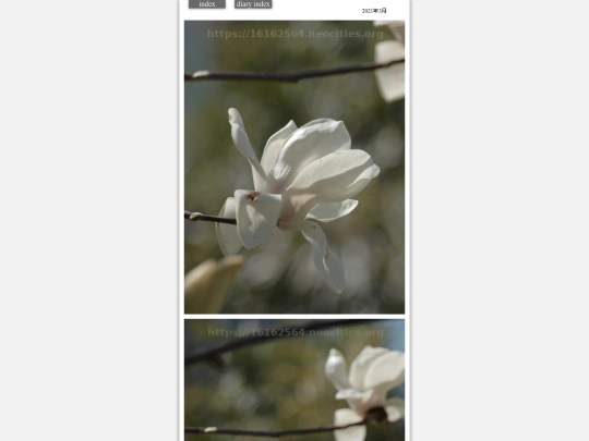 hare2021mar111 screenshot