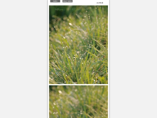 hare2021mar300 screenshot