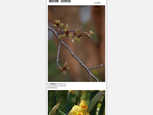 hare2021mar5 screenshot