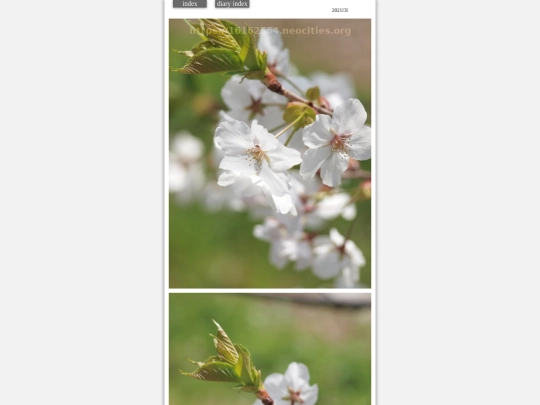hare2021mar777 screenshot