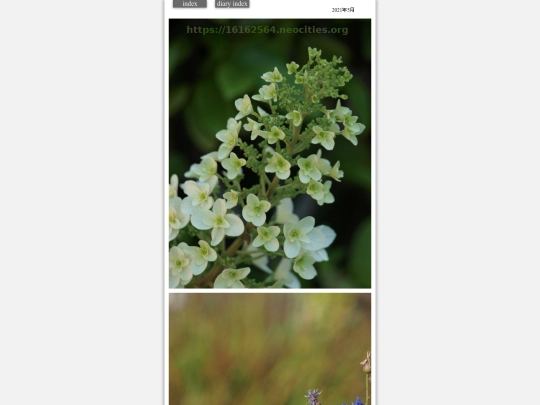 hare2021may50 screenshot
