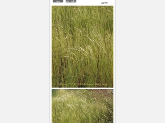 hare2021may7 screenshot