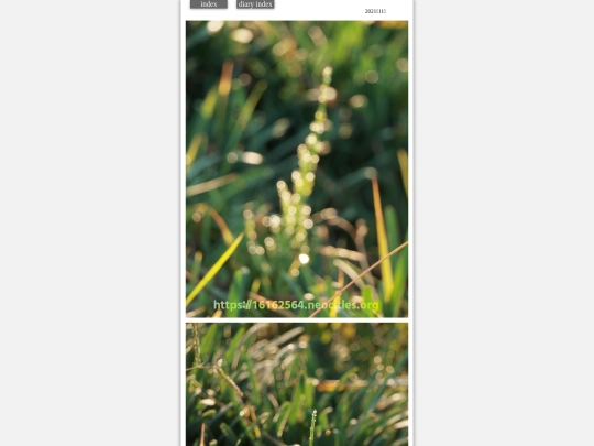 hare2021nov11 screenshot