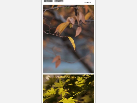 hare2021nov7 screenshot