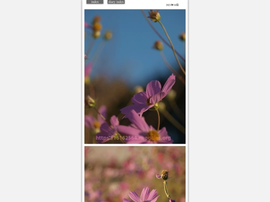 hare2021oct22 screenshot