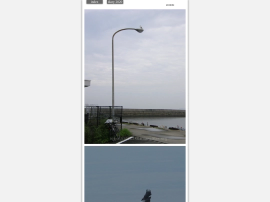 kumo2019aug7 screenshot