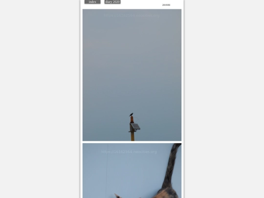 kumo2019aug9 screenshot
