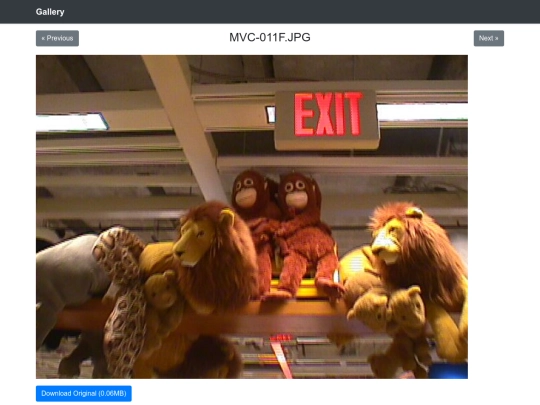 mavica/__thumbs/MVC-011F.JPG screenshot