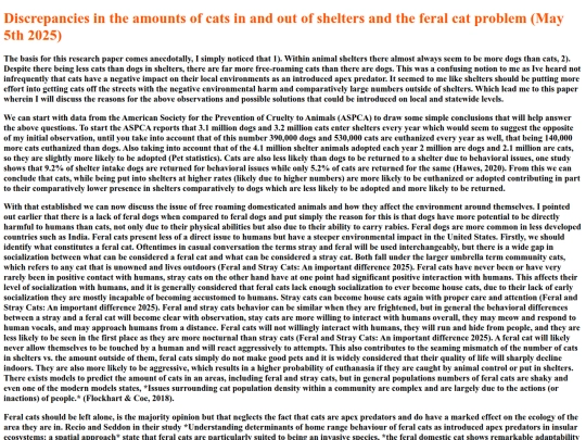 Essay screenshot