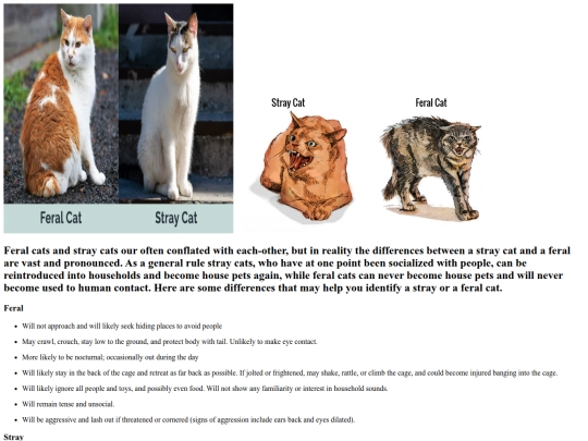 Identifying-Feral-Cats screenshot