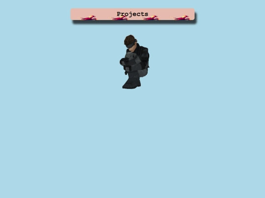 projects screenshot