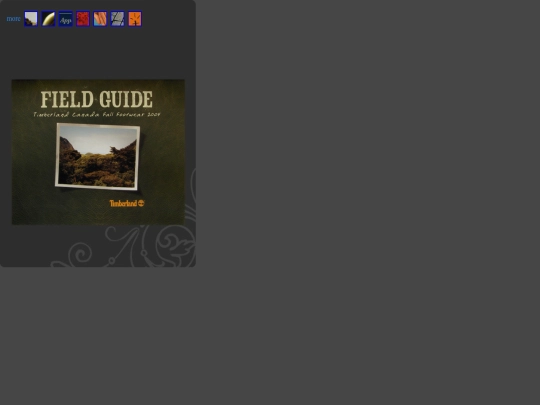 pages/portfolio_pages/portfolio_timberland_F04 screenshot
