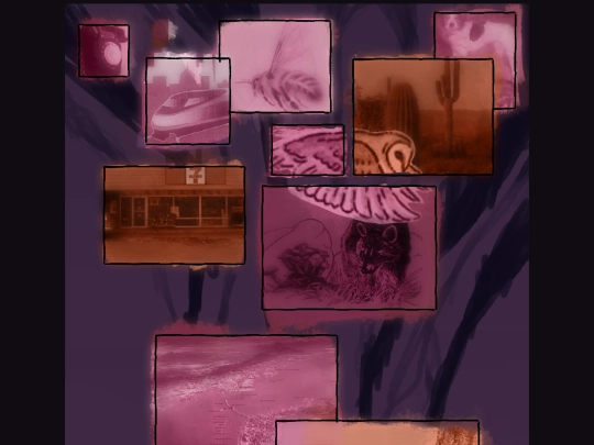 c/07 screenshot