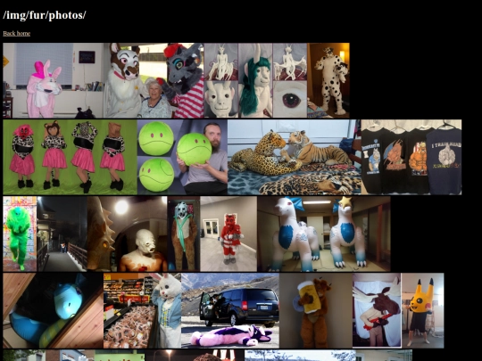 img/fur/photos screenshot