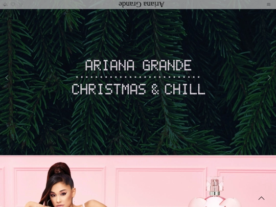 img/Web Ariana screenshot