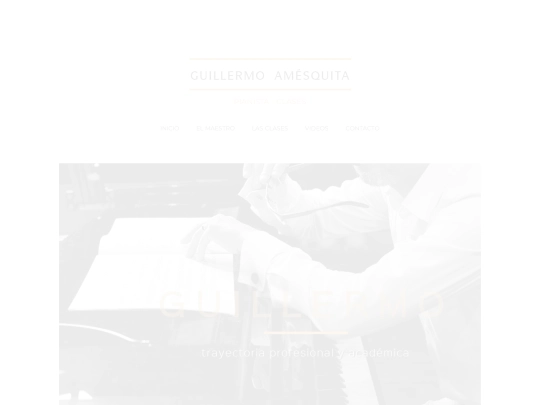 maestro screenshot