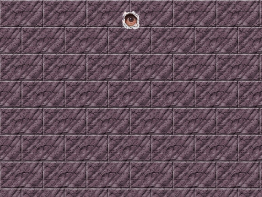 113 screenshot