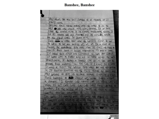 banshee/24 screenshot