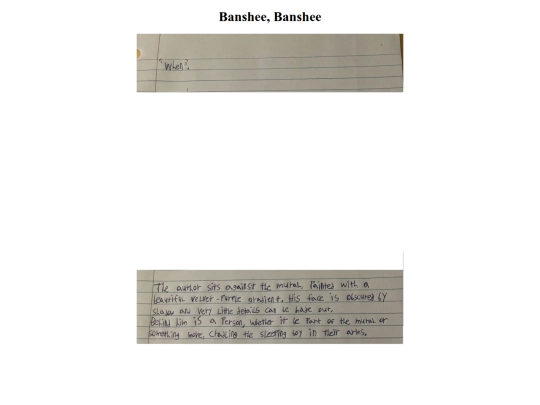 banshee/31 screenshot