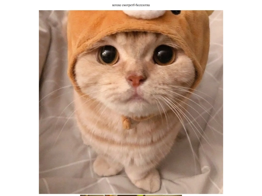 HTMLPage1 screenshot
