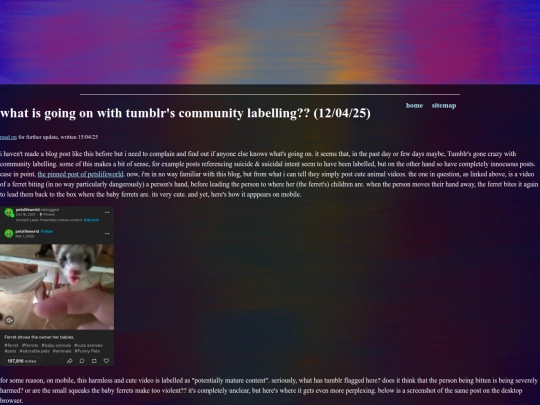blogs/tumblr-community-labelling screenshot