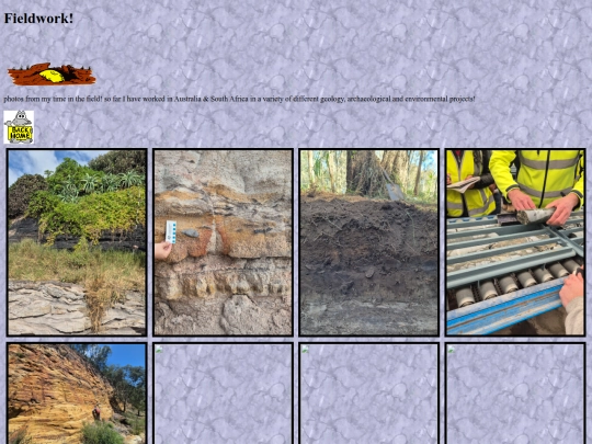 fieldwork screenshot