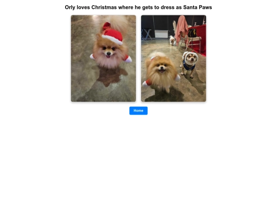 orly_favday screenshot