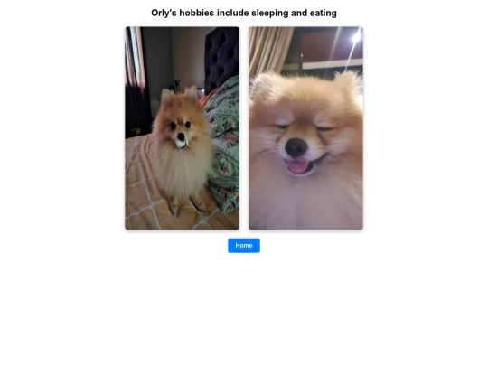 orlyhobbies screenshot