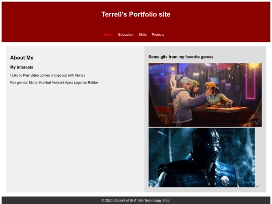 TerrellPortfolio screenshot