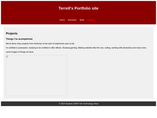 TerrellPortfolio/projects screenshot