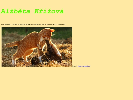 page screenshot