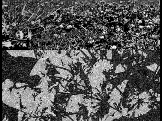 A_OLIVEIRA parte 2 screenshot