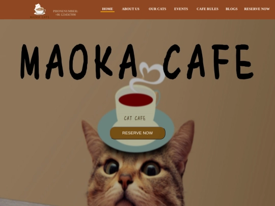 splash-page screenshot