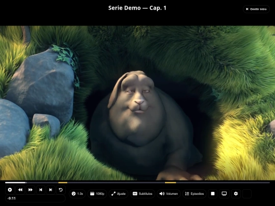 playesr screenshot
