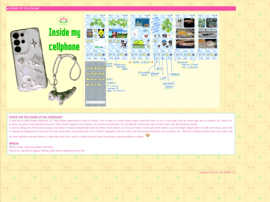 cellphone screenshot