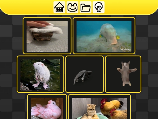 inspirations/cool-pics-and-gifs screenshot