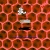 psychohive.neocities.org avatar