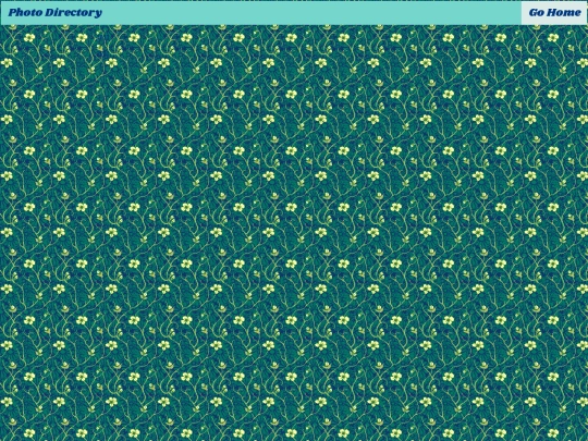 photos/photo_direct screenshot