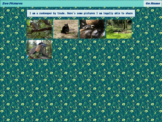 photos/zoopics screenshot