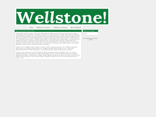wellstonespolicies screenshot