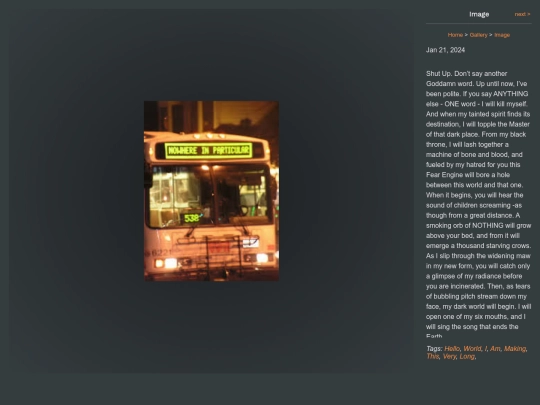 dev/gallery/image screenshot