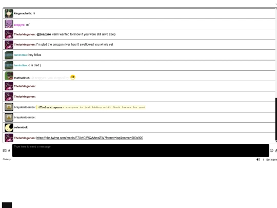 chat screenshot