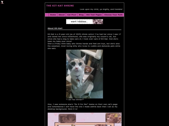 catzone/catpics screenshot