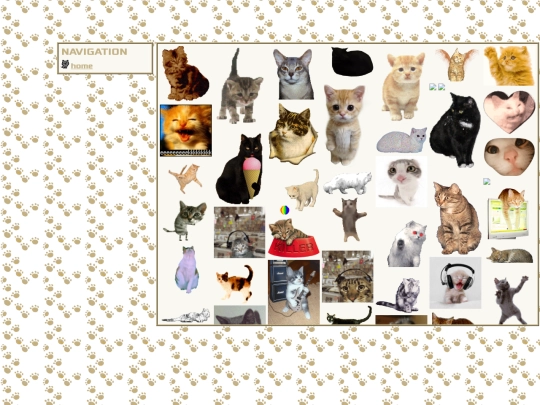 cats screenshot