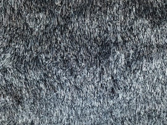 other-movies/forbiddenzone screenshot