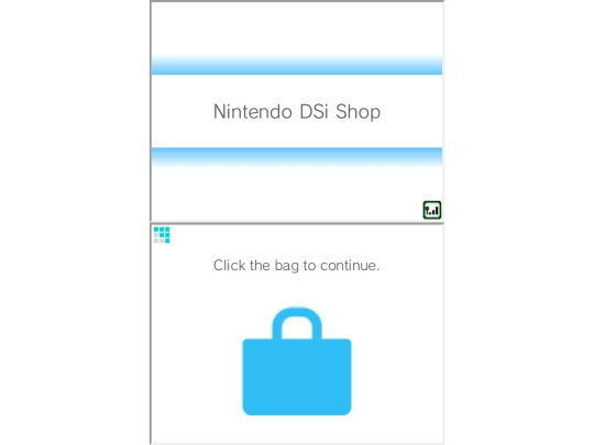 dsi screenshot